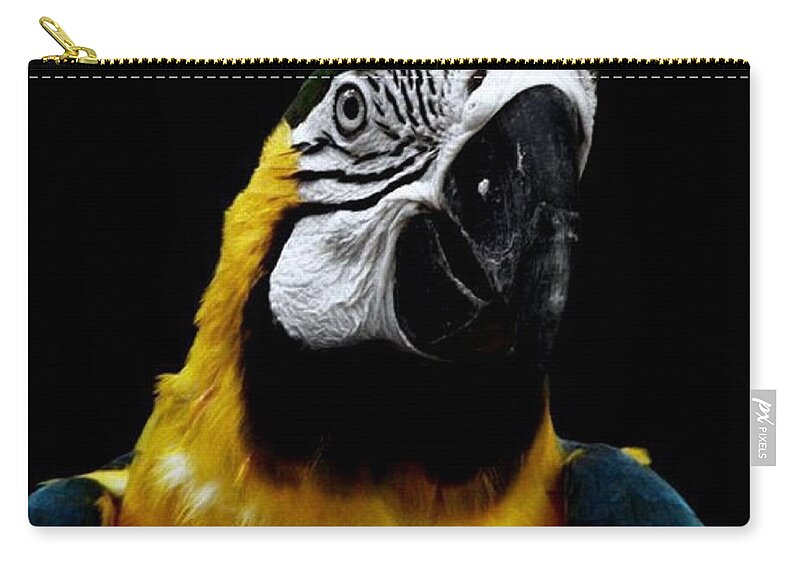 Parrot Carry-all Pouch featuring the photograph Mr Polly by Kim Galluzzo Wozniak