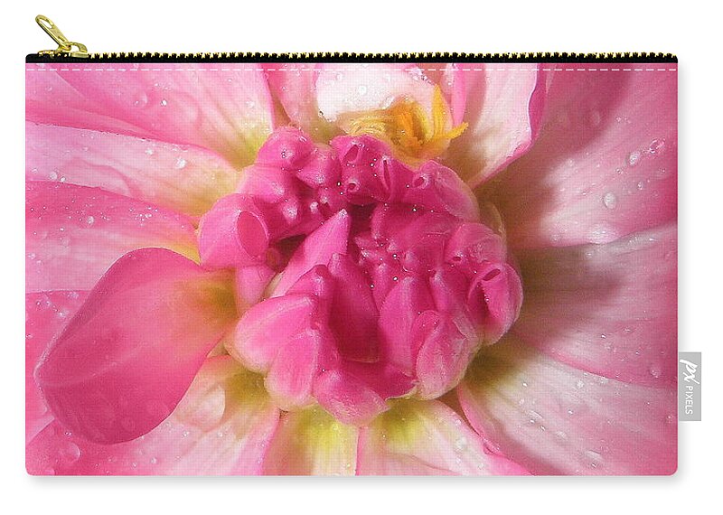 Dahlia Zip Pouch featuring the photograph My Name Is Dahlia by Kim Galluzzo