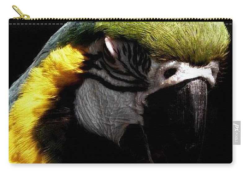 Macaw Zip Pouch featuring the photograph Nap Time by Kim Galluzzo Wozniak