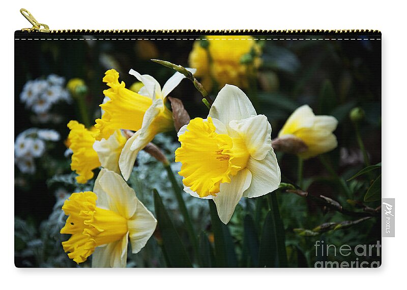 Narcissus Las Vegas Zip Pouch featuring the photograph Narcissus Las Vegas The Choir by Andee Design