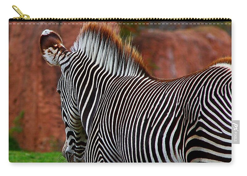 Zebra Zip Pouch featuring the photograph Nature's Barcode by Davandra Cribbie