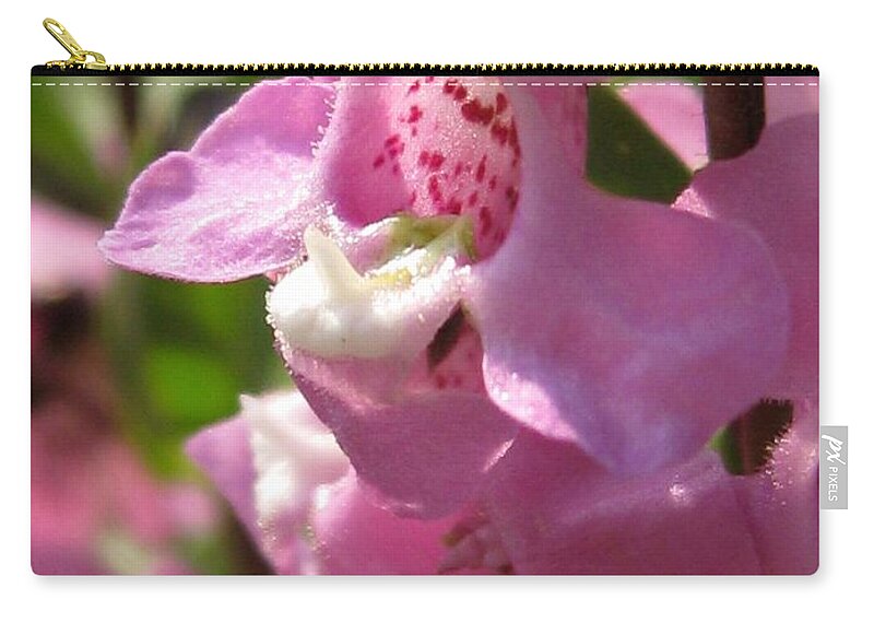Nemesia Zip Pouch featuring the photograph Nemesia named Poetry Lavender Pink by J McCombie