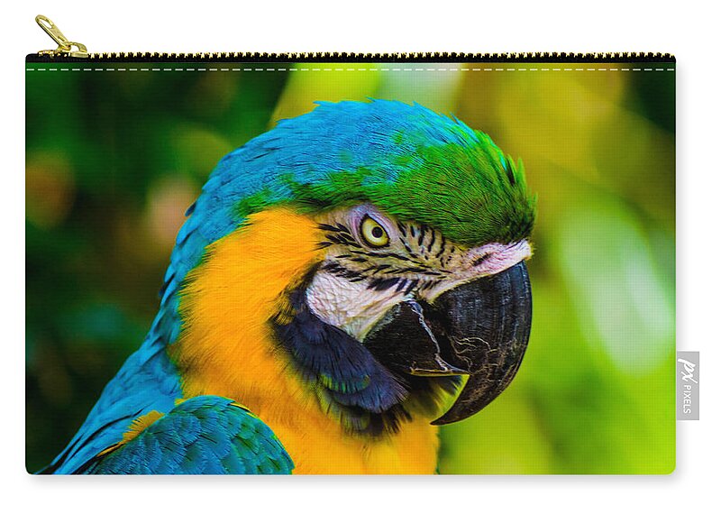 Parrots Zip Pouch featuring the photograph No more crakers by Shannon Harrington