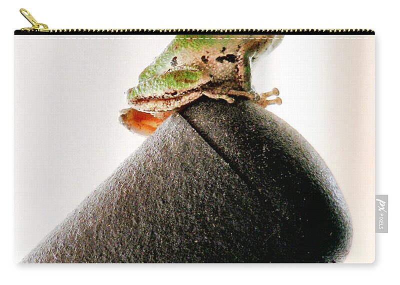 Frog Zip Pouch featuring the photograph Now What? by Rory Siegel