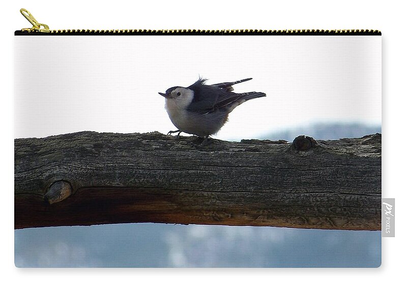 Nuthatch Carry-all Pouch featuring the photograph Nuthatch by Dorrene BrownButterfield