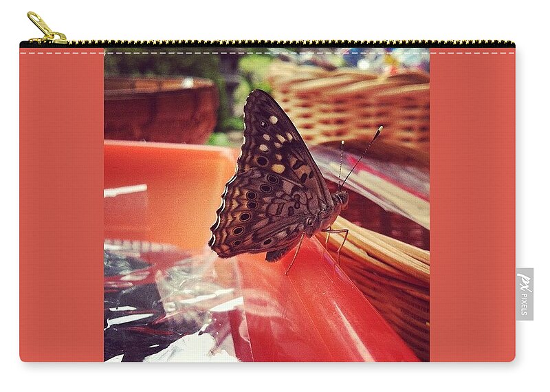 Butterfly Zip Pouch featuring the photograph Oh, Herro. #butterfly I Like Your White by Katie Cupcakes