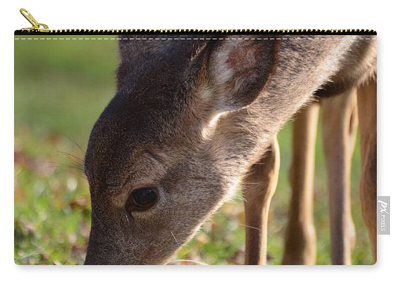 Fawn Zip Pouch featuring the photograph Oh So Sweet by Lori Tambakis