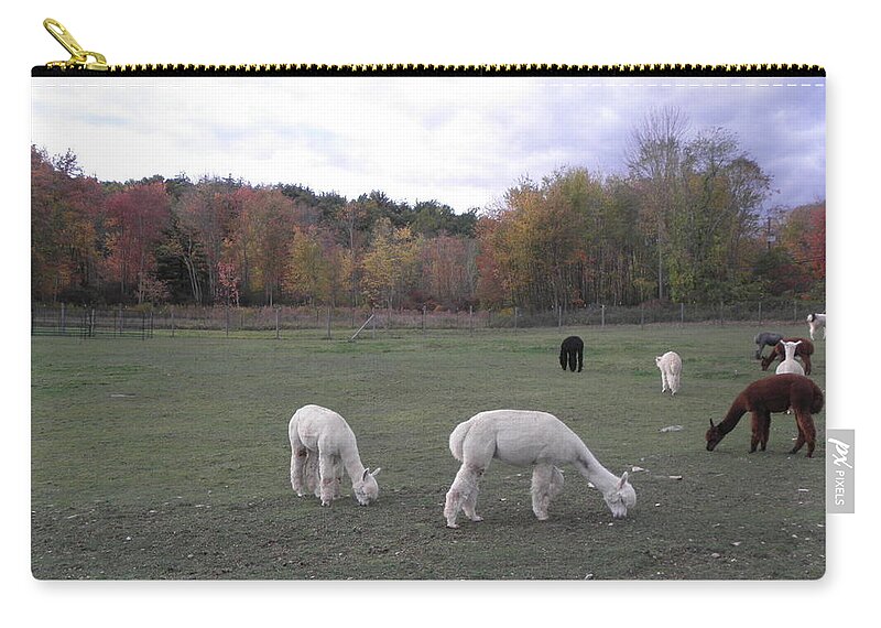 Alpaca Zip Pouch featuring the photograph On The Alpaca Farm by Kim Galluzzo Wozniak