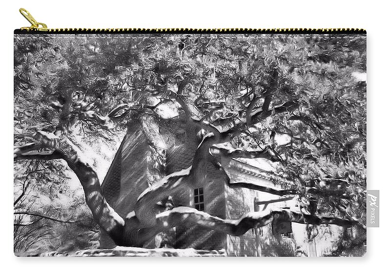 Tree Zip Pouch featuring the photograph One Cool Old Tree by KATIE Vigil