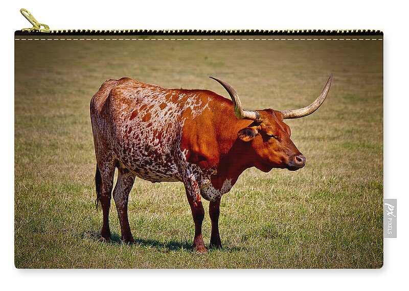 Afternoon Zip Pouch featuring the photograph One Lone Longhorn by Doug Long