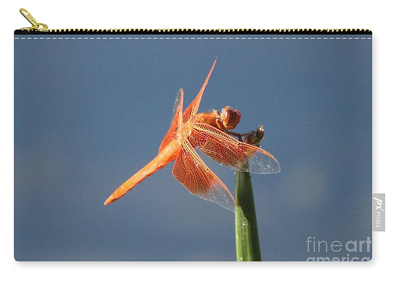 Dragonfly Zip Pouch featuring the photograph Orange Dragonfly on Blue by Veronica Batterson