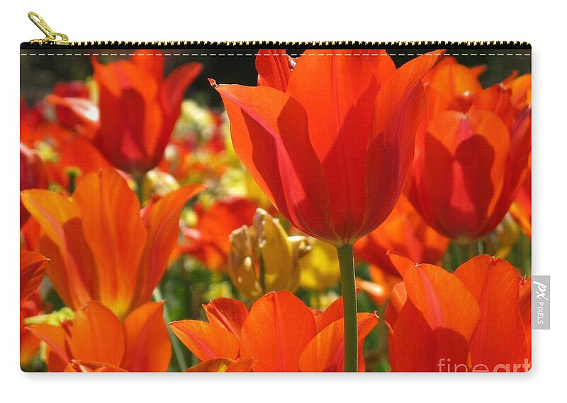 Flower Zip Pouch featuring the photograph Orange Glow by Ashley M Conger