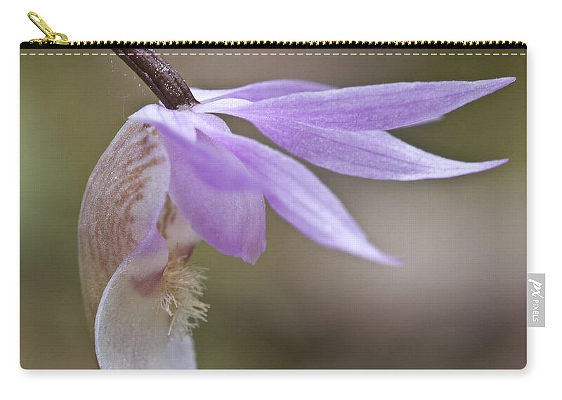 Orchid Zip Pouch featuring the photograph Orchid Calypso bulbosa - 2 - Finland by Heiko Koehrer-Wagner