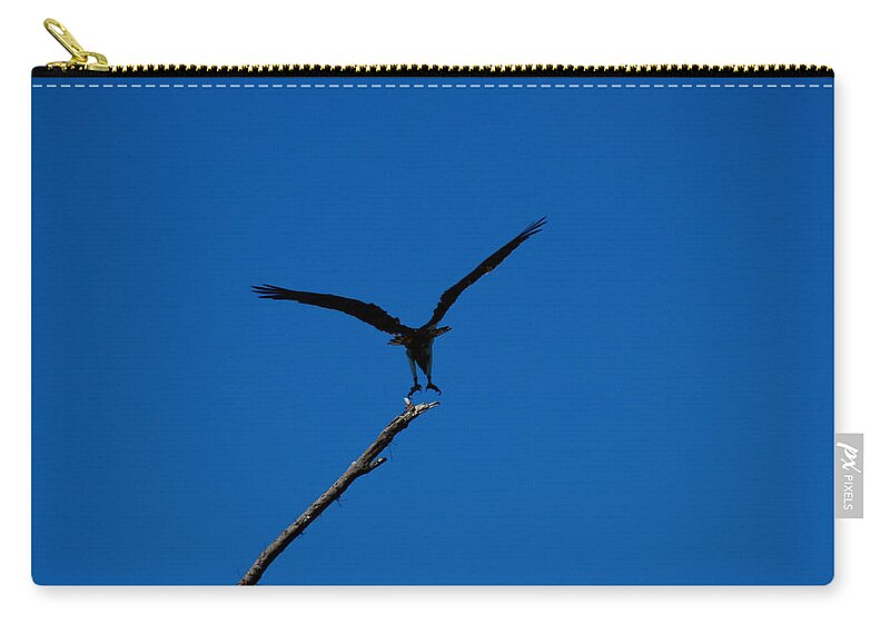 Osprey Zip Pouch featuring the photograph Osprey Landing by David Weeks