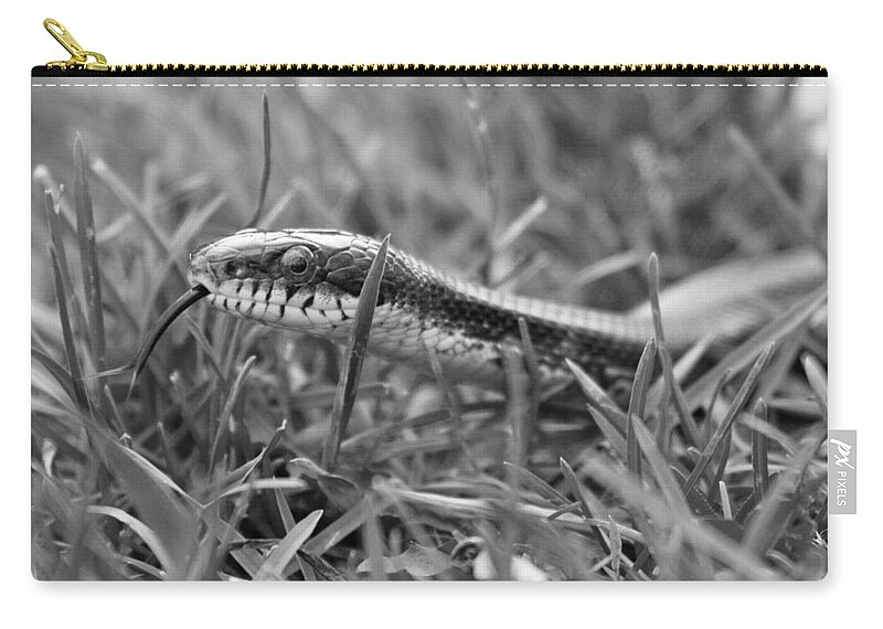 Black Zip Pouch featuring the photograph Out and About by Betsy Knapp