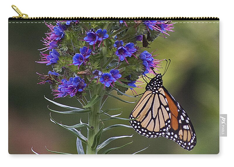 Monterey Zip Pouch featuring the photograph Pacific Grove Monarch by Jim And Emily Bush