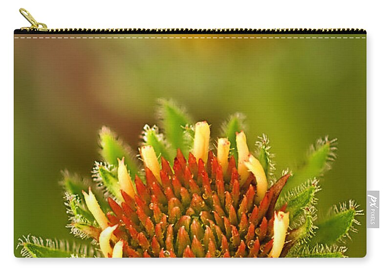 2012 Zip Pouch featuring the photograph Pale Purple Coneflower Bud by Robert Charity