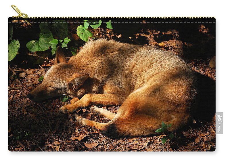 Red Fox Zip Pouch featuring the photograph Peaceful Slumber by Lori Tambakis