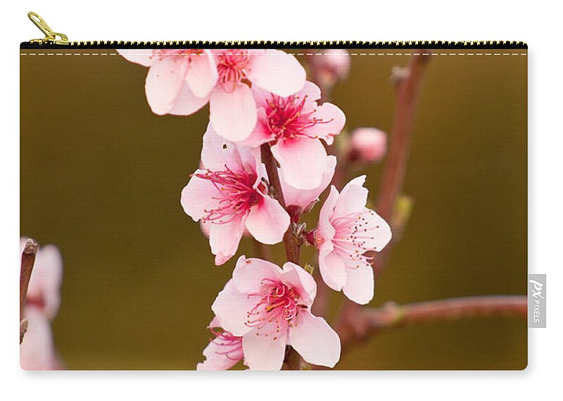Peaches Zip Pouch featuring the photograph Peach Blossoms by Michelle Wrighton