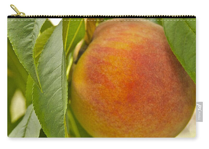 Fruit Zip Pouch featuring the photograph Peachy 2903 by Michael Peychich