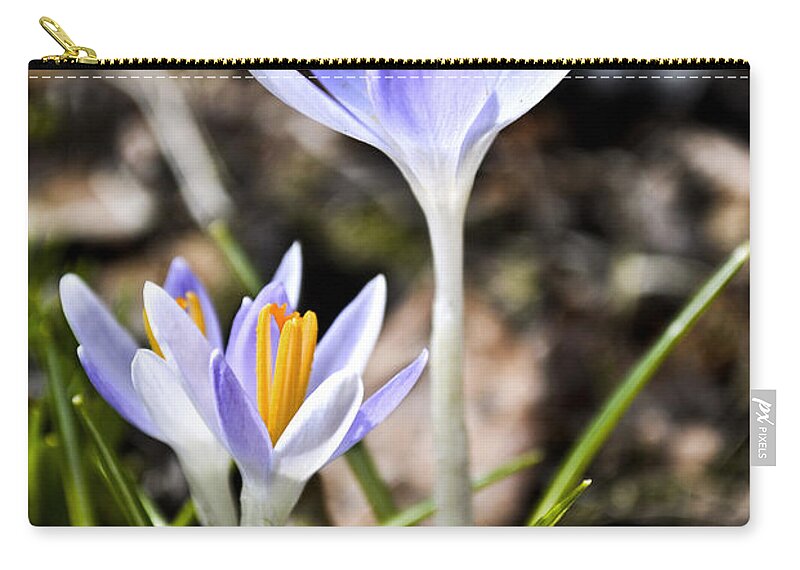  Zip Pouch featuring the digital art Peaking Spring by Danielle Summa