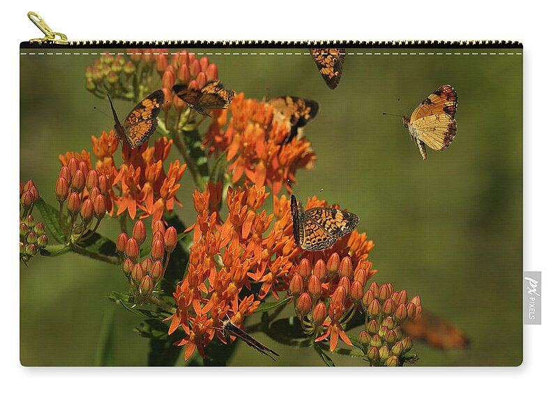 Pearly Crescentpot Butterfly Zip Pouch featuring the photograph Pearly Crescentpot Butterflies Landing On Butterfly Milkweed by Daniel Reed