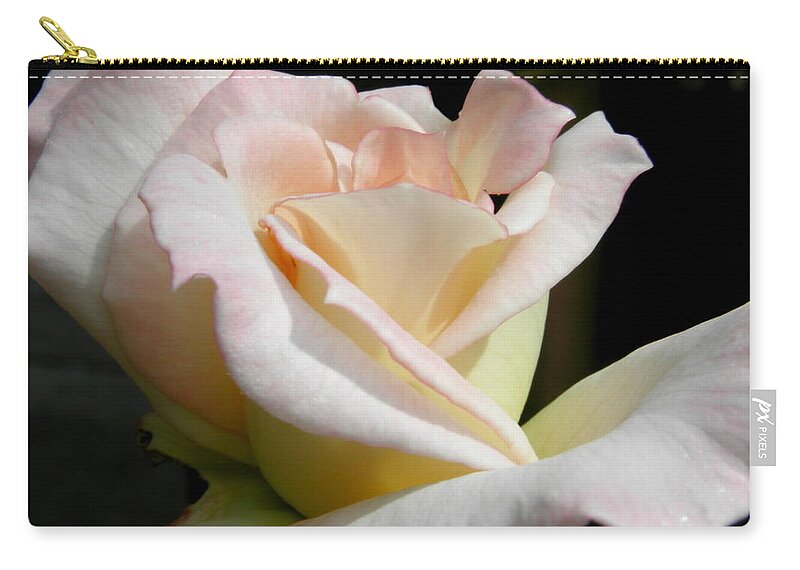 Rose Zip Pouch featuring the photograph Pedals Of Beauty by Kim Galluzzo