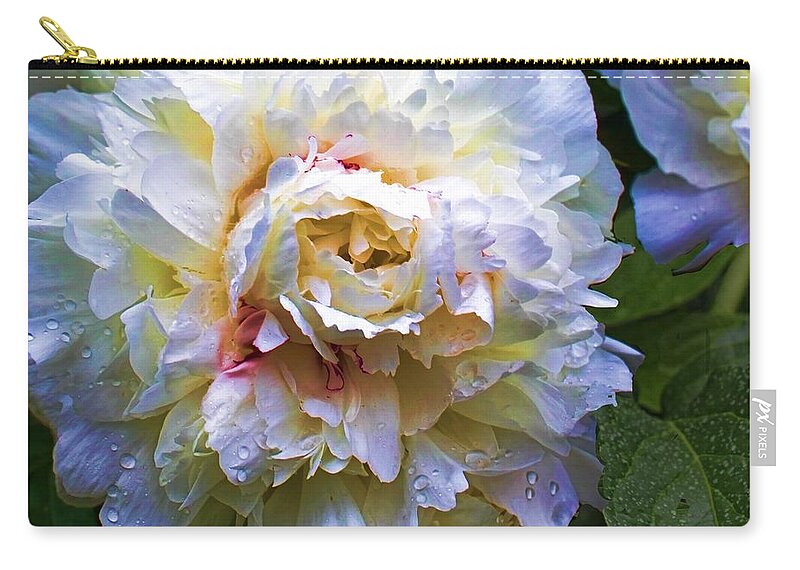 Flower Photographs Zip Pouch featuring the photograph Peony Beauty by Christiane Kingsley