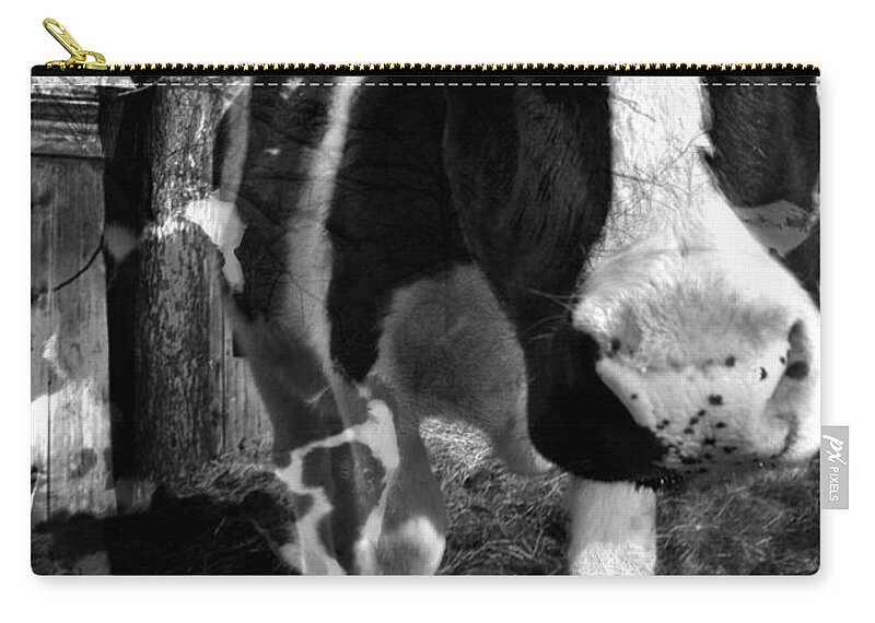 Agriculture Greeting Cards Zip Pouch featuring the photograph Persistent Gabriella with Zoey by Danielle Summa