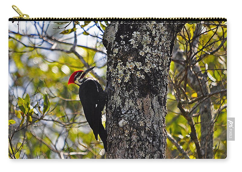 Pileated Woodpecker Zip Pouch featuring the photograph Pileated Woodpecker by Al Powell Photography USA