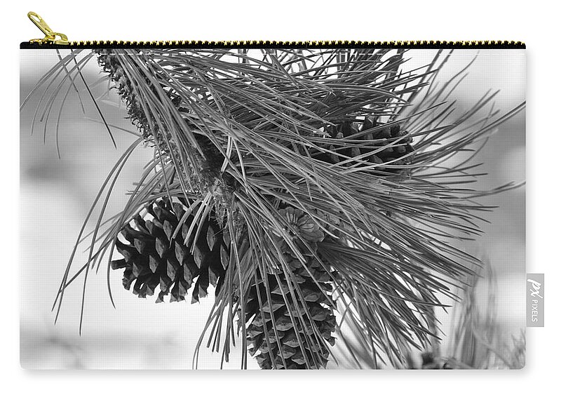 Pine Cones Zip Pouch featuring the photograph Pine Cones by Dorrene BrownButterfield