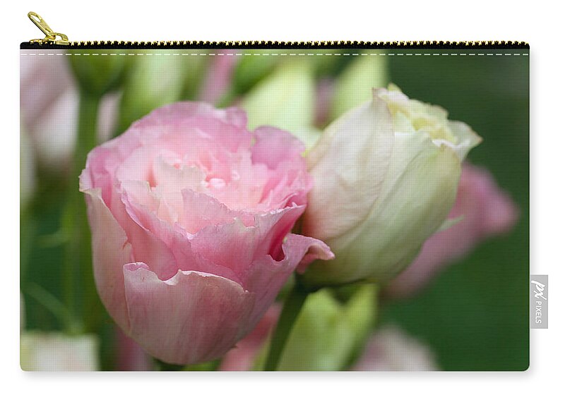 Lisianthus Zip Pouch featuring the photograph Pink and White Lisianthus by Diana Haronis