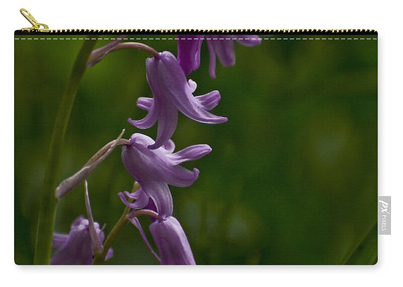 Spring Zip Pouch featuring the photograph Pink Bluebell by Rob Hemphill