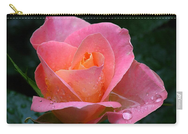  Zip Pouch featuring the photograph Pink Dew by Juergen Roth
