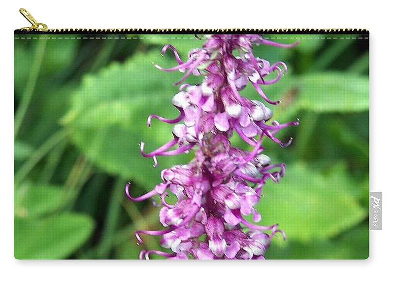 Wildflowers Zip Pouch featuring the photograph Pink Elephants by Dorrene BrownButterfield