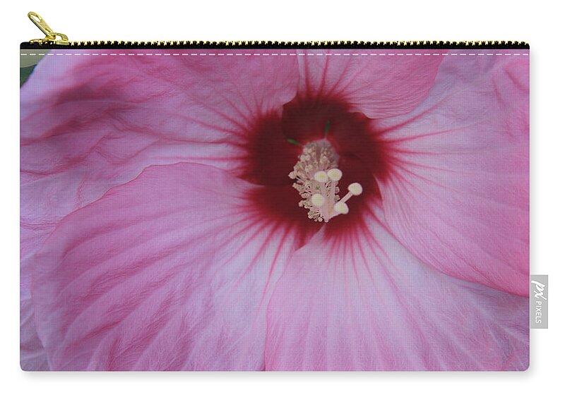 Hibiscus Zip Pouch featuring the photograph Pink Hibiscus by Debra Martelli