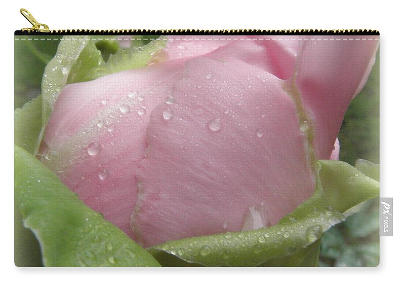 Peony Zip Pouch featuring the photograph Pink Peony droplets by Kim Galluzzo