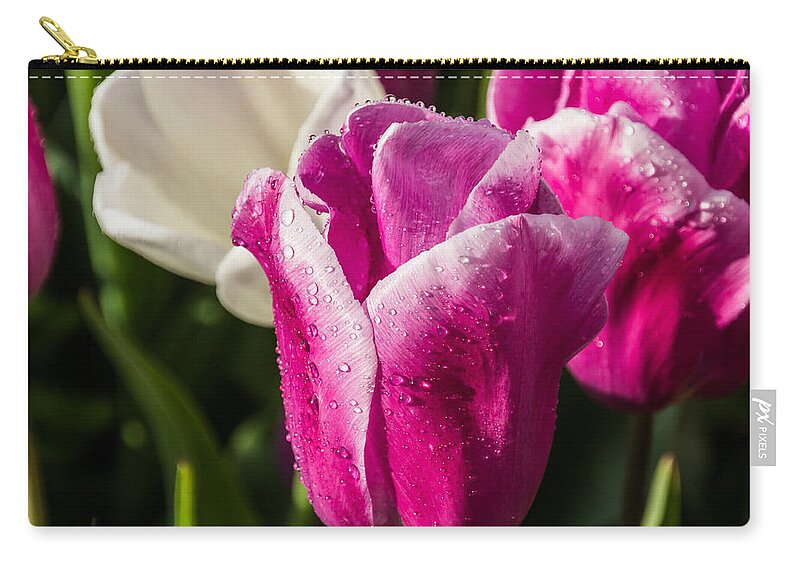 Tulip Zip Pouch featuring the photograph Pink Tulip by David Gleeson