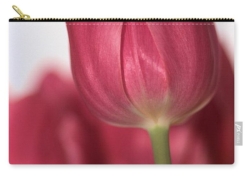 Pink Tullips Zip Pouch featuring the photograph Pink Tullips by Michelle Joseph-Long