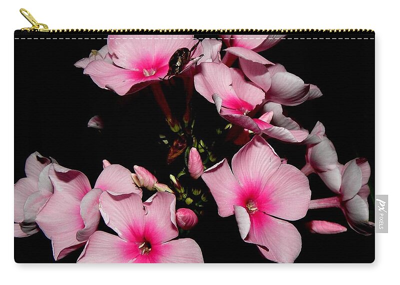 Pink Zip Pouch featuring the photograph Pinks by Kim Galluzzo