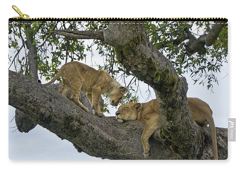 Africa Zip Pouch featuring the photograph Please Wake Up by Michele Burgess