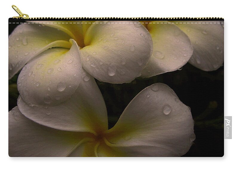 Plumeria Zip Pouch featuring the photograph Plumeria by Dorothy Cunningham