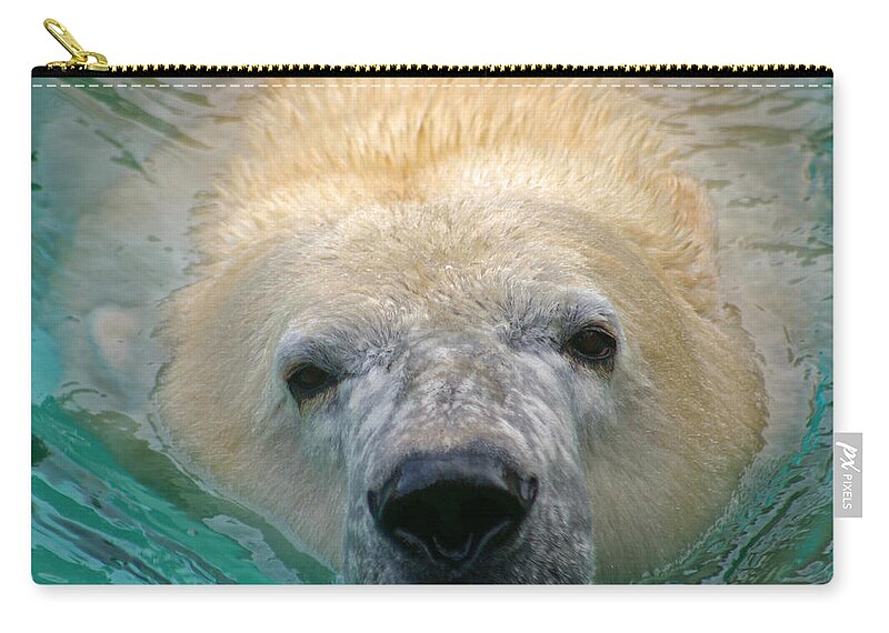 Zoo Zip Pouch featuring the photograph Polar Bear Swim by David Rucker