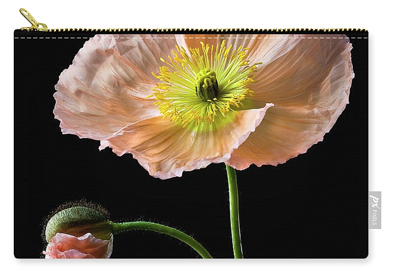 Flower Zip Pouch featuring the photograph Poppy by Endre Balogh