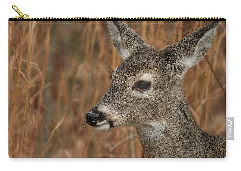Odocoileus Virginanus Carry-all Pouch featuring the photograph Portrait Of Browsing Deer by Daniel Reed