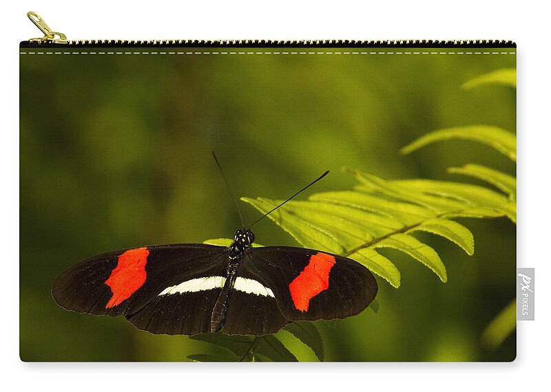 Butterfly Zip Pouch featuring the photograph Postman Butterfly by Carrie Cranwill