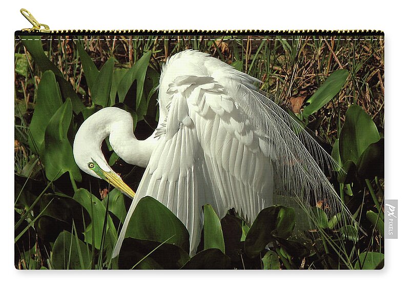 Nature Zip Pouch featuring the photograph Preening Egret by Peggy Urban