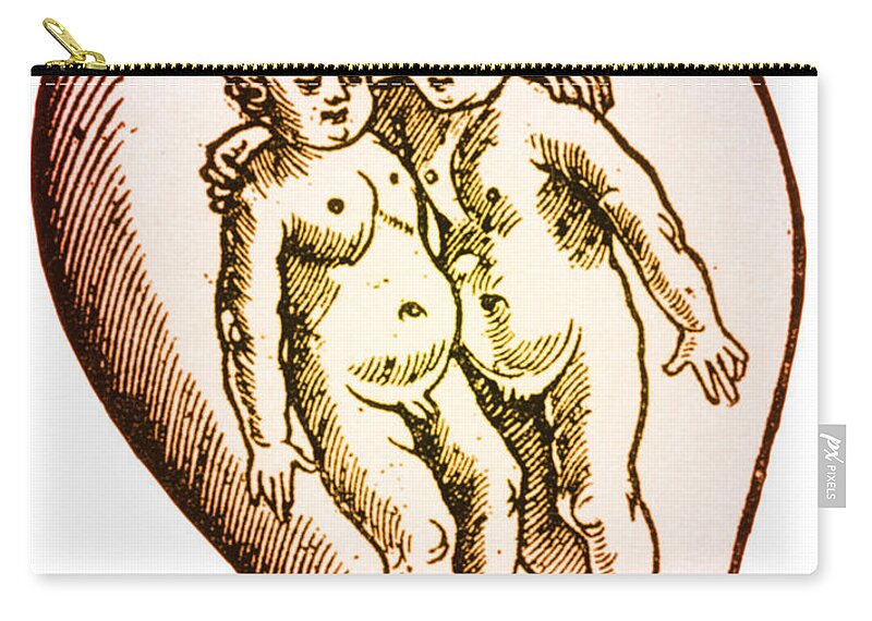 Art Zip Pouch featuring the photograph Preformationism, 18th Century by Science Source