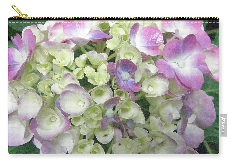 Hydrangea Carry-all Pouch featuring the photograph Pretty Pastels by Kim Galluzzo Wozniak