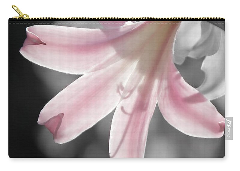 Flowers Zip Pouch featuring the photograph Pretty Pink Blossom by Paul Topp